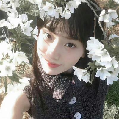 少年包拯之双鱼诡事